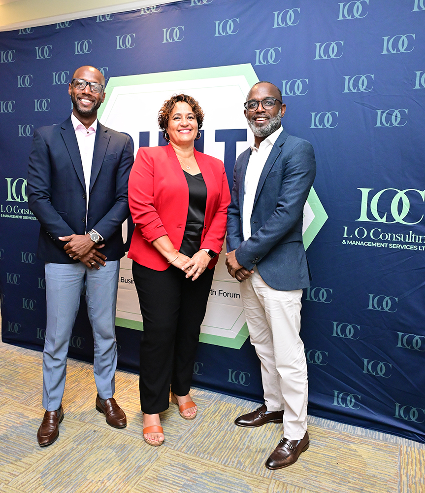Lo Consulting Ltd Image